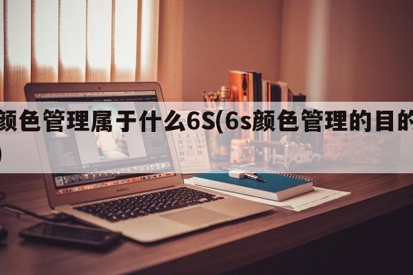 颜色管理属于什么6S(6s颜色管理的目的)