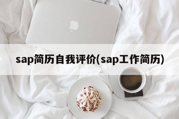 sap简历自我评价(sap工作简历)